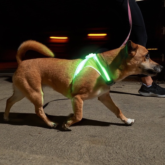 Noxgear | LightHound | Multi-Color Dog Light Harness | Medium | New in Box - Picture 2 of 16